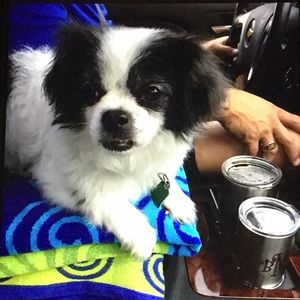 Meet your Posher, Beverly